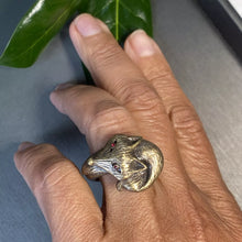 Ring Fox with Red Eyes