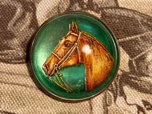 Brooch Vintage Rosette with a Chestnut Horse Profile on Green Background