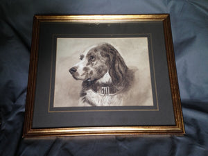 Print Framed and Matted Sepia Print of a Beautiful Spaniel With Collar