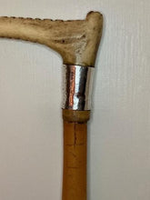 Side Saddle Cane Ash Wood with Sterling Silver Collar