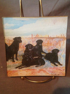 Tray - Labradors Beside The Rushes